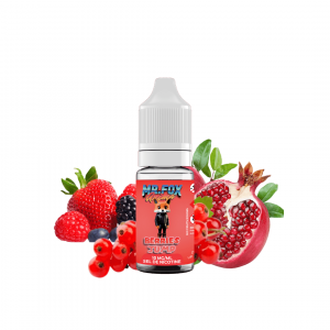 Berries Jump Sel de nicotine – MR FOX Anima